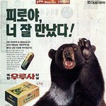 곰보다 쎈 차두리