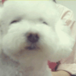 <b>런치</b>타임!!