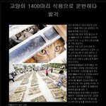 [사진有] 중국<b>동물</b>들 학대의 현실