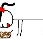 ㅋㅋㅋ코<b>코볼</b> 먹을때 한번쯤은★★★★★