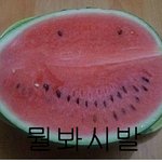길지만빵터지는미친<b>댓</b>긑95ㅋㅋㅋㅋㅋㅋㅋㅋㅋㅋㅋㅋㅋㅋㅋㅋㅋ