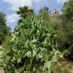 시골 삼남매의 유럽여행기! -바르셀로나-2