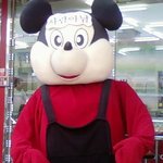 ◎인형탈입고 출퇴근 운동했어요ㅋ◎