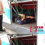 ★★<b>대륙</b> 시리즈21탄★★