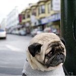 ★★★★★★★★★(사진有) 너무 어려운 수학여행 참가 자격 고사★★★★★★★...