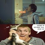 sk 텔레콤 청년의 가능성 <b>cf</b>를 귀여운 고양이로 패러디한건데^^...