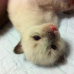 꼬물꼬물<b>꼬물</b>..