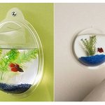 ★☆★☆★특이한6탄!! 특이한 <b>어항</b> 모음!!★☆★☆★