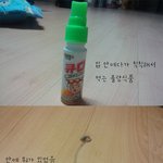 ※※※※※불량<b>식품</b> 먹을때 조심하thㅔ요 사진有혐오주의※※※※※※※
