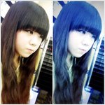 ★★기욤기욤열매<b>투척</b>★★