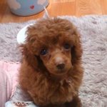 딸가진 <b>부모마음</b>을 알것 같아요!!!!!!!!!!!!!!!!!!!...