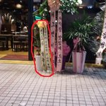 창렬이가 사고치면 난 너무좋아
