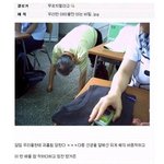 ▶▶▶▶▶펌사진有<b>느님</b>)패륜아모음*빡침주의*◀◀◀◀◀