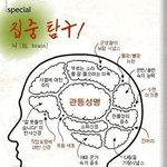 군인계급별 뇌구조 집중<b>탐구</b>