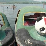 남자친구랑 귀여운<b>팬더</b>보트 탈려구했는뎅