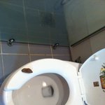 ★변기위에 올려놓은 똥을 본 언니의....ㅋㅋㅋㅋㅋㅋㅋㅋㅋ