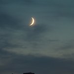 주말밤 혼자 놀아요?
