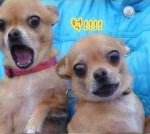 ♥24살동갑내기동거이야기