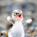 댓글말고 글을쓰면어떨까?흐어어어엉ㅜㅜ 곧5시야...ㅠㅠ