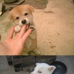 여자<b>손</b>과 <b>남자손</b>의 차이