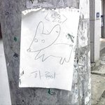 ☆★☆★사진ㅇ 애완견이 <b>사라</b>졋어요 보신분은 연락주ㅅㅔ요ㅠㅠ☆★☆★