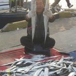 1박2일 남해안 <b>갈치</b>낚시