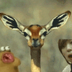 ★☆★☆★☆★☆★☆남자가 좋아하는 여자 유형 best☆★☆★☆★☆★☆★