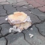 사진有★★친구가 준 <b>케익</b>이..ㅠ_ㅠ