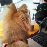 한번씩만꼭읽어주세요(부탁드립니다)