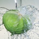독일의 양배추 다이어트 따라하기