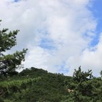 '우이동'  도심 속의 소나무 숲