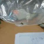 x맥스 <b>위생</b>장갑이 아닌 <b>위생</b>장갑의 실태- _-