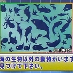 ★☆@@재미있는아이큐테스트?@@☆★