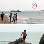 날으는 개고기 ..
