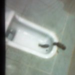 ★★★★★★★★★휴<b>지심</b> 똥으로 전교생 속임★