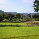 판에서 만난 여자 둘...안동여행가다! 마지막 편