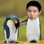 이 가시나를 어떻게해야되나요ㅡㅡ