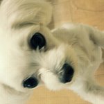 [수정]★(사진有)훈훈주의!!눈정화제대로해주는 여신들★