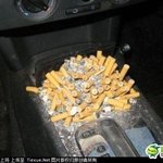 ★★<b>대륙</b> 시리즈31탄★★