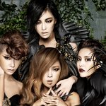 브아걸<b>vs</b>카라