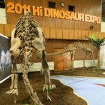 2011년 Hi Dino  공룡 엑스포 대구전  '