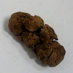 똥사진有) 날흠 고퀄리티 똥으로 낚음ㅋㅋㅋ