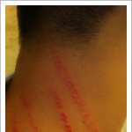 수정ㅎㅎ(사진有) 내사랑스런 일꾼 두마리