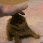 조언좀 해주세요. 형 누나 동생 연애고수님들..