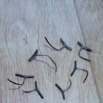 ★ <b>동대문</b>에서 옷을 샀는데... (사진有) ★