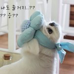 헉...혼자 먹어버렸어???