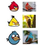 앵그리<b>버드</b> 실사판