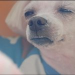 슴세살의 불장난..