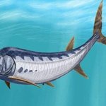 ★★ 고대에 살았던 초거대 바다 <b>생물</b>들(사진有)★★