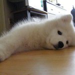 길지만빵터지는미친댓글106ㅋㅋㅋㅋㅋㅋㅋㅋㅋㅋㅋㅋㅋㅋㅋ